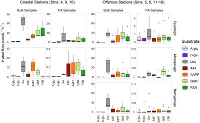 Particles act as ‘specialty centers’ with expanded enzymatic function throughout the water column in the western North Atlantic